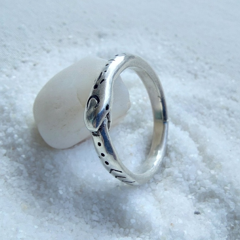 Anillo Ouroboros