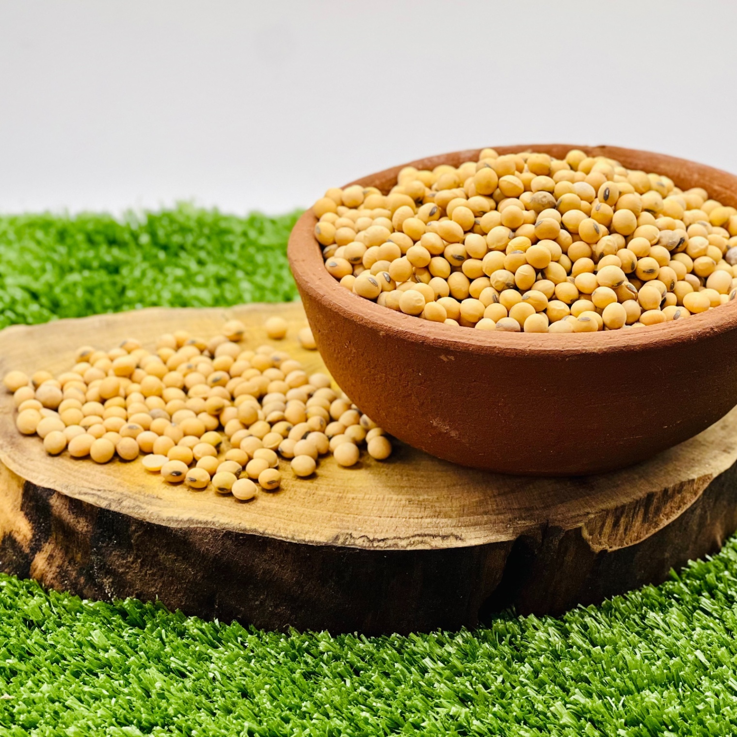 Poroto soya 500g