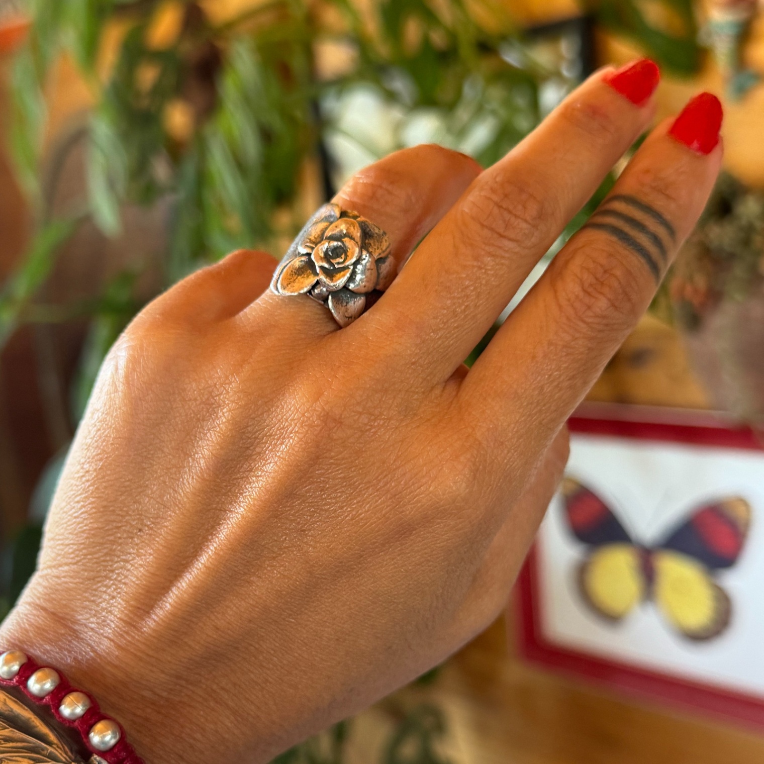 Anillo AEONIUM 