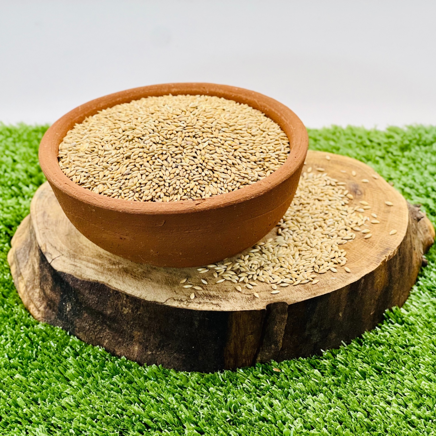 Alpiste 500g