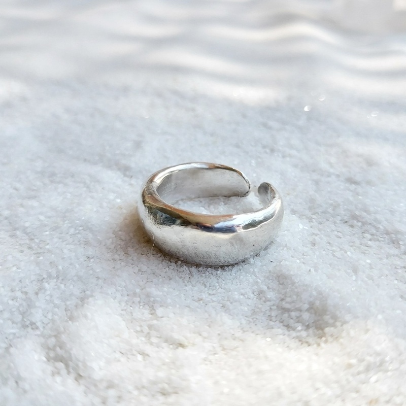 Anillo Neptuno